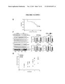 Sumoylation of SERCA2a and Cardiovascular Disease diagram and image