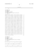 Sumoylation of SERCA2a and Cardiovascular Disease diagram and image