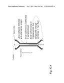 DEVICES AND METHODS FOR ENRICHMENT AND ALTERATION OF CIRCULATING TUMOR     CELLS AND OTHER PARTICLES diagram and image