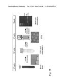 DEVICES AND METHODS FOR ENRICHMENT AND ALTERATION OF CIRCULATING TUMOR     CELLS AND OTHER PARTICLES diagram and image