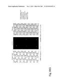 DEVICES AND METHODS FOR ENRICHMENT AND ALTERATION OF CIRCULATING TUMOR     CELLS AND OTHER PARTICLES diagram and image