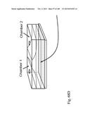 DEVICES AND METHODS FOR ENRICHMENT AND ALTERATION OF CIRCULATING TUMOR     CELLS AND OTHER PARTICLES diagram and image