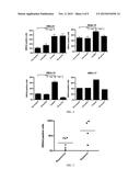 SSEA4 AND ST3GAL2 AS CHEMOTHERAPEUTIC DRUG RESPONSE BIOMARKERS diagram and image