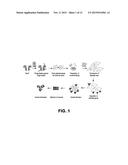 METHODS AND COMPOSITIONS RELATED TO MODULATORS OF EUKARYOTIC CELLS diagram and image