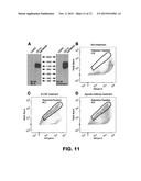 METHODS AND COMPOSITIONS RELATED TO MODULATORS OF EUKARYOTIC CELLS diagram and image