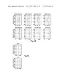 METHOD OF MODELLING A SUBTERRANEAN REGION OF THE EARTH diagram and image