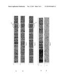 PROCESSING MICROSEISMIC DATA diagram and image