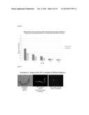 METHOD FOR ASSESSING CELL AGING diagram and image