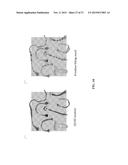 Geodesic Distance Based Primitive Segmentation and Fitting for 3D Modeling     of Non-Rigid Objects from 2D Images diagram and image