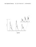 PROBE FOR EXTRACTION OF MOLECULES OF INTEREST FROM A SAMPLE diagram and image