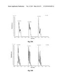 PROBE FOR EXTRACTION OF MOLECULES OF INTEREST FROM A SAMPLE diagram and image