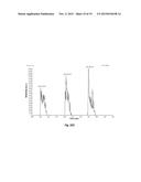 PROBE FOR EXTRACTION OF MOLECULES OF INTEREST FROM A SAMPLE diagram and image