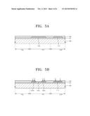 METHOD OF MANUFACTURING CAPACITOR, METHOD OF MANUFACTURING ORGANIC LIGHT     EMITTING DISPLAY DEVICE INCLUDING THE CAPACITOR, AND ORGANIC LIGHT     EMITTING DISPLAY DEVICE MANUFACTURED BY USING THE METHOD diagram and image