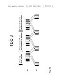 PHYSICAL CHANNEL DESIGN FOR NETWORK-ASSISTED D2D diagram and image