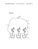 PLANT GROWTH SYSTEM USING LED LIGHTING diagram and image