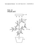 PLANT GROWTH SYSTEM USING LED LIGHTING diagram and image