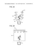 PLANT GROWTH SYSTEM USING LED LIGHTING diagram and image