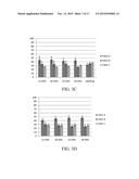 Isolation and Use of FAD2 and FAE1 From Camelina diagram and image