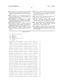 Isolation and Use of FAD2 and FAE1 From Camelina diagram and image