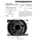 METHOD AND APPARATUS FOR IRIS RECOGNITION USING NATURAL LIGHT diagram and image