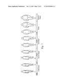 LENGTH-TO-SIDE SILHOUETTES OF ADULT DISPOSABLE ABSORBENT ARTICLES AND     ARRAYS diagram and image