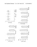 USE OF THE PHYTOCANNABINOID CANNABIDIVARIN (CBDV) IN THE TREATMENT OF     EPILEPSY diagram and image