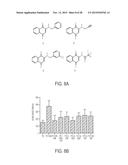 COMPOSITIONS AND METHODS FOR TREATING NEUROLOGICAL DISEASES OR INJURY diagram and image