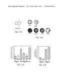 COMPOSITIONS AND METHODS FOR TREATING NEUROLOGICAL DISEASES OR INJURY diagram and image