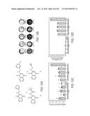 COMPOSITIONS AND METHODS FOR TREATING NEUROLOGICAL DISEASES OR INJURY diagram and image