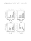 COMPOSITIONS AND METHODS FOR TREATING NEUROLOGICAL DISEASES OR INJURY diagram and image