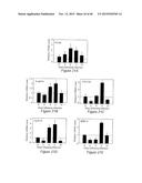 Sulfated-Oxysterol and Oxysterol Sulfation by Hydroxysterol     Sulfotransferase Promote Lipid Homeostasis and Liver Proliferation diagram and image