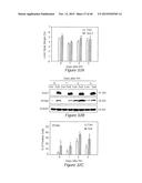 Sulfated-Oxysterol and Oxysterol Sulfation by Hydroxysterol     Sulfotransferase Promote Lipid Homeostasis and Liver Proliferation diagram and image