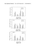 Sulfated-Oxysterol and Oxysterol Sulfation by Hydroxysterol     Sulfotransferase Promote Lipid Homeostasis and Liver Proliferation diagram and image