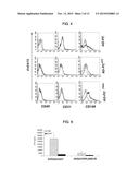 Method for production of anti-tumor TRAIL protein diagram and image