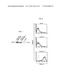 Method for production of anti-tumor TRAIL protein diagram and image