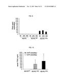 Method for production of anti-tumor TRAIL protein diagram and image