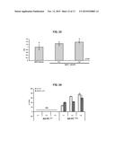 Method for production of anti-tumor TRAIL protein diagram and image