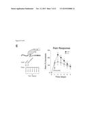 COMPOSITIONS AND METHODS FOR TREATMENT OF PAIN diagram and image