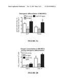 USE OF CYCLOPHILIN D INHIBITORS TO TREAT OR PREVENT BONE DISORDERS diagram and image