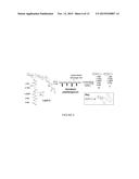 MODIFIED LIPOPOLYSACCHARIDE GLYCOFORM AND METHOD OF USE diagram and image