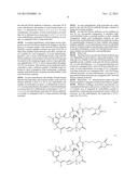 COMPOUNDS AND METHODS FOR THE TREATMENT OF ERB B2/NEU POSITIVE DISEASES diagram and image