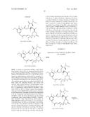 COMPOUNDS AND METHODS FOR THE TREATMENT OF ERB B2/NEU POSITIVE DISEASES diagram and image