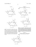 COMPOUNDS AND METHODS FOR THE TREATMENT OF ERB B2/NEU POSITIVE DISEASES diagram and image