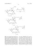 COMPOUNDS AND METHODS FOR THE TREATMENT OF ERB B2/NEU POSITIVE DISEASES diagram and image
