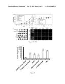 ENCAPSULATED AGENTS AND METHODS OF MAKING AND USING THEREOF diagram and image