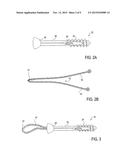 BONE IMPLANT AND SYSTEMS THAT CONTROLLABLY RELEASES SILVER diagram and image