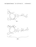 RANGE OF MOTION FLEXIBILITY DEVICE AND METHOD OF USE diagram and image