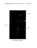 Exercise Cell, Ketosis/Weight Loss Inducing Exercise Machine (KWIEM),     Ketosis Inducing Apparatus (KIA) diagram and image