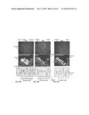 APPARATUS AND METHOD FOR ROLLING METAL diagram and image