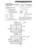 LASER-DRIVEN HYDROTHERMAL PROCESSING diagram and image